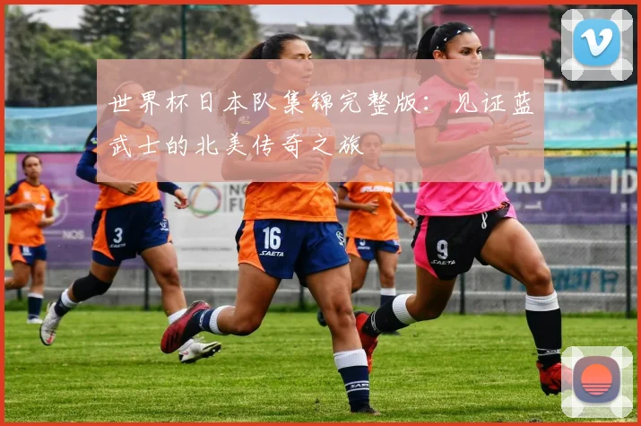 世界杯日本队集锦完整版：见证蓝武士的北美传奇之旅